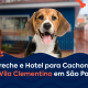 Foto: Cachorro na frente de uma casa. Texto na foto: Creche e Hotel para Cachorro na Vila Clementino em São Paulo.